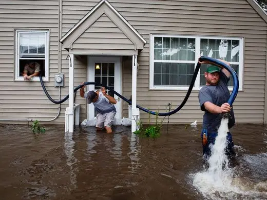 Best Flood Clean-Up Service Providers Near Me: Your Guide to Top-Rated Solutions