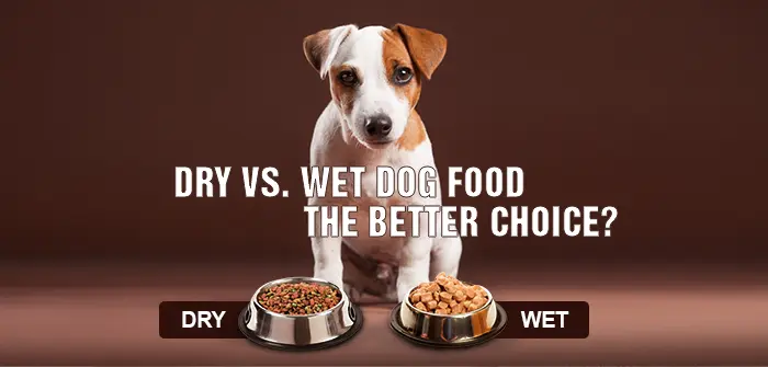 Dry Dog Food vs. Wet Dog Food: Which Is Better for Your Pet?