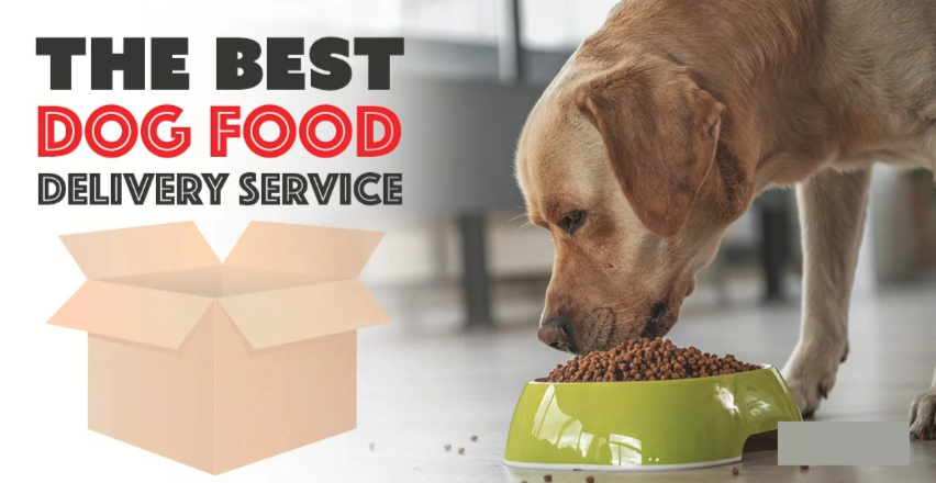 Best Dog Food Delivery Services for 2025 Compared: Fresh, Raw & Kibble Options Reviewed